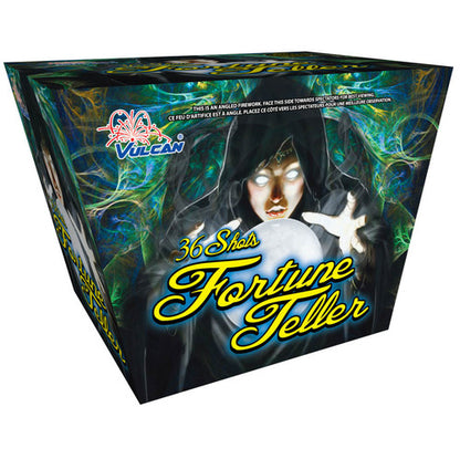 FORTUNE TELLER