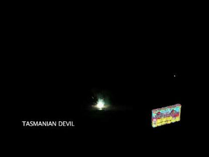 TAZMANIAN DEVIL