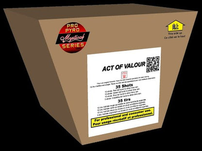 Act of Valour