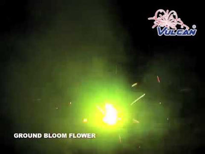 GROUND BLOOM FLOWER