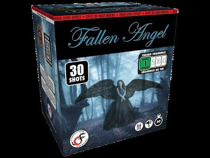 FALLEN ANGEL